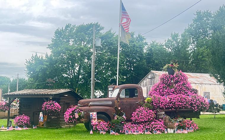 【初版】フラワータウンスケーピング = FLOWER TOWN SCAPING Monroe County town has gone pink, and locals wouldn't have it any